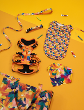 Sunset Floral Splash Combo